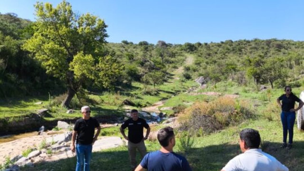 Imagen de WhatsApp 2025-12-04 a las 19.23.27_a80b2c47